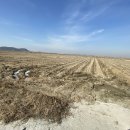 교로1리 마을회관 이미지