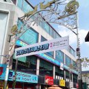 동상동 로데오거리 이미지