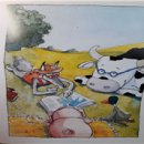 신원종서점 이미지