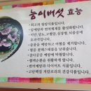 곰식당 이미지