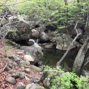 더함농장 이미지