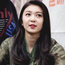 다미 이미지