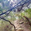 아차산 동행숲길 이미지