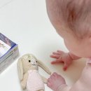 아기선물 고민 끝 애착인형계 에르메스 커들앤카인드 솔직 후기