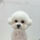 몽띠끄 이미지