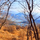 세천 체육공원 티스토리