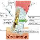 덕풍시장 이미지