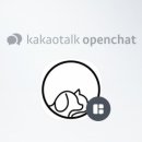 몽냥몽냥 강아지분양 고양이분양 송파점 이미지