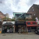 레이나플레르 이미지