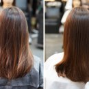 프리마헤어 이미지