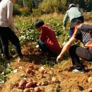 김영범농장 이미지