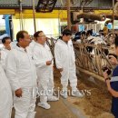 양일농장 이미지