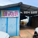 마고농원. in 천안시 입장면