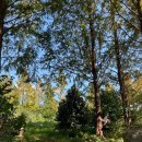 생태숲민박 이미지