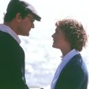 아이리스(IRIS) 이미지