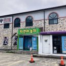 놀자놀자 | 강릉 아이와함께 체험-자연아놀자 내돈내산 솔직후기