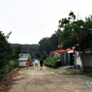 원당점현대자동차 이미지