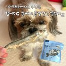 간식당 | 이마트트레이더스 추천템 강아지간식추천 '핼씨미요 알배기 동결건조 열빙어' 내돈내산 후기