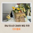 주정차-31 | 🌷 인스타 감성의 하남 꽃집, 아지풀꽃 방문후기