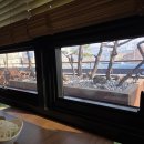 아리랑신관 | [아리랑갈비] 동두천 지행역 가족외식 맛집의 한돈양념구이, 육회, 비빔냉면 후기