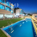 사계에반하다 이미지