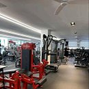 아나토미 스트랭스 이미지