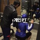 웰핏휘트니스 네이버블로그