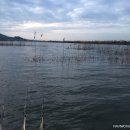 흥왕낚시터 이미지