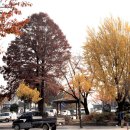 부여읍사무소 이미지