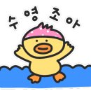 도마실국민체육센터 수영장 이미지