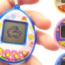 마하세이프 이미지