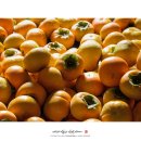 우인호 농장 이미지