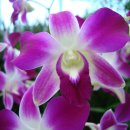 좋아요 펜션 이미지