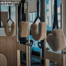 팔머메디스포츠 이미지