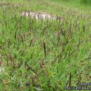 은하농장 이미지