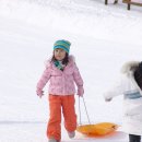 무궁화어린이집 이미지