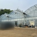 남양주 다육농원 ‘리코다육’에서 귀여운 다육이들 구매한 후기