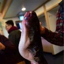 신촌당구타운 이미지