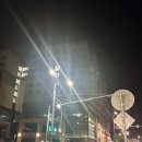 🚌하객버스 파이과일도시락 납품 후기 🍍🚌