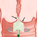 새로미치과의원 이미지