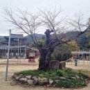 전주용덕초등학교 이미지
