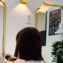 영헤어샵(YOUNG헤어#)