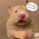 보컬몬스터 | 부산 보컬학원 추천 '빠둠뮤직 보컬트레이닝 센터' 수강후기 (내돈내산)