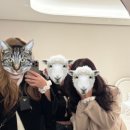 갤러리패밀리호텔 | 서울 마포구_호텔 나루 서울 엠갤러리 후기｜리버뷰 패밀리룸 호캉스