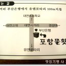 원조포항물회 이미지