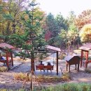 너나들이쉼터화장실 이미지