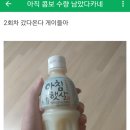 아침햇살 이미지
