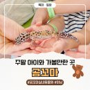 곰과여우 | 주말 아이와 가볼만한 곳 / 하남 곰꼬마 실내동물원 다녀온 후기 (먹이주기 체험)