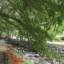 2025.9.19(금) 상사호랑이 뛰놀다 이미지