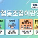 부산행정사 이미지